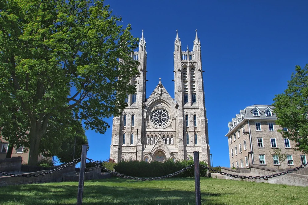 Guelph movers